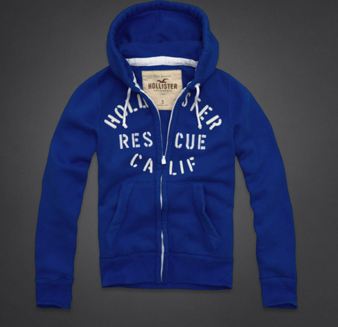 moletom com ziper hollister