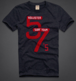 Camisa Hollister Masculina