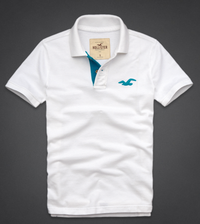 camisa polo hollister masculina