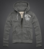moletom com ziper hollister