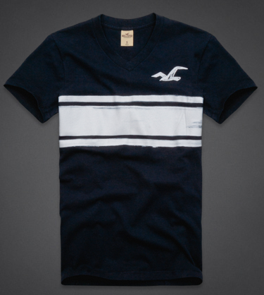 Camisa Hollister Masculina